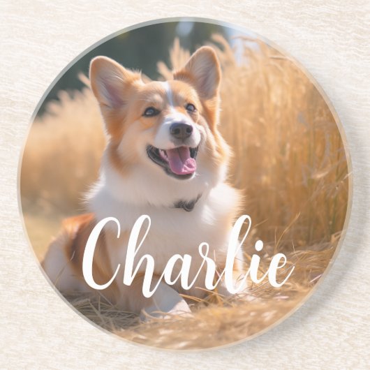 Aangepaste foto zandsteen onderzetter (Voorkant)