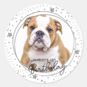 Aangepaste foto Zilver Glitter Stars Dog Birthday Ronde Sticker (Voorkant)