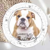 Aangepaste foto Zilver Glitter Stars Dog Birthday