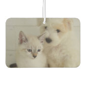 Aangepaste fotoauto luchtverfrisser (Voorkant)