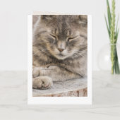 Aangepaste fotokaart met sympathie kaart (Achterkant)