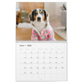 Aangepaste fotokalender - Hond, Huisdieren, Famili Kalender (Mar 2026)
