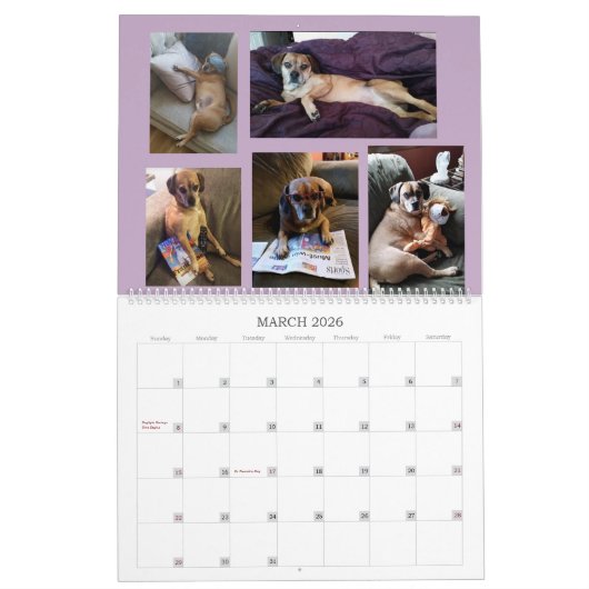 Aangepaste fotokalender kalender (Mar 2026)