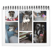 Aangepaste fotokalender kalender (Hoes)