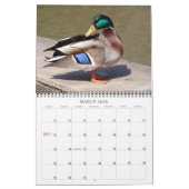 Aangepaste fotokalender met uw Afbeeldingen Kalender (Mar 2026)