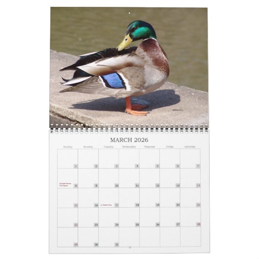 Aangepaste fotokalender met uw Afbeeldingen Kalender (Mar 2026)