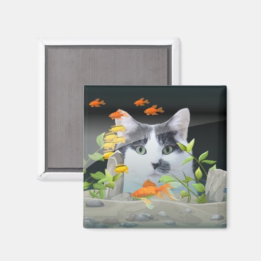 Aangepaste fotokat peerin vistank magneet (Voorkant / Achterkant)