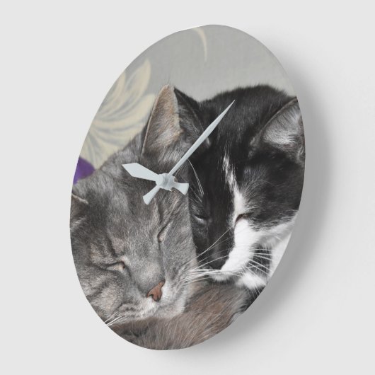 Aangepaste fotoklokkratten die rondstrooien grote klok (Hoek)