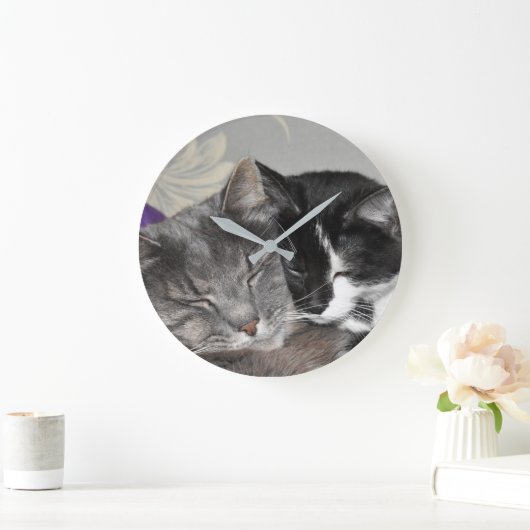 Aangepaste fotoklokkratten die rondstrooien grote klok (Huis)