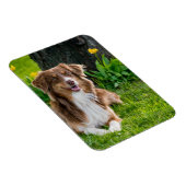 Aangepaste fotokoelkast magneet (Rechterzijde)