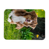 Aangepaste fotokoelkast magneet (Horizontaal)