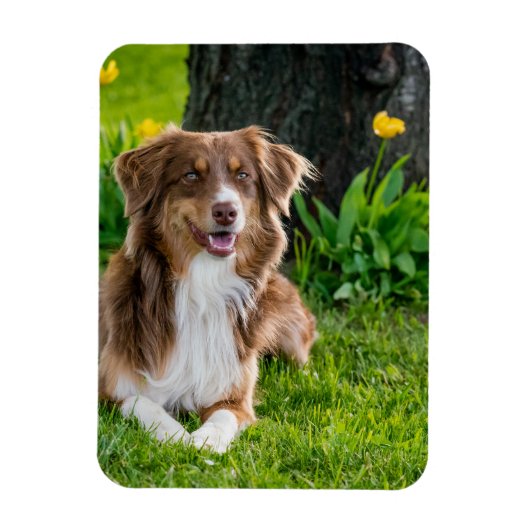 Aangepaste fotokoelkast magneet (Verticaal)