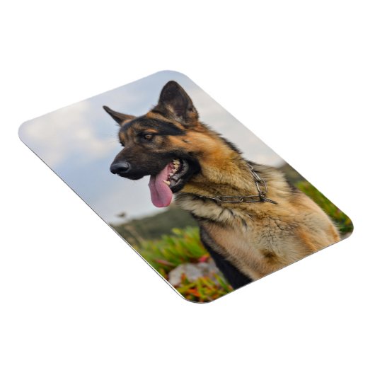 Aangepaste fotokoelkast Magnet Magneet (Rechterzijde)