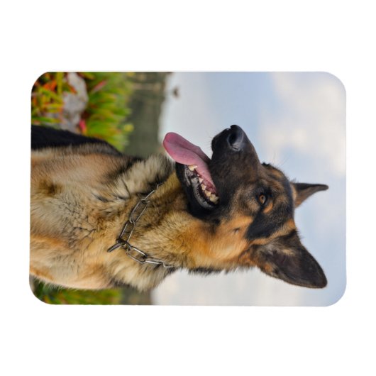 Aangepaste fotokoelkast Magnet Magneet (Horizontaal)