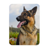 Aangepaste fotokoelkast Magnet Magneet (Verticaal)