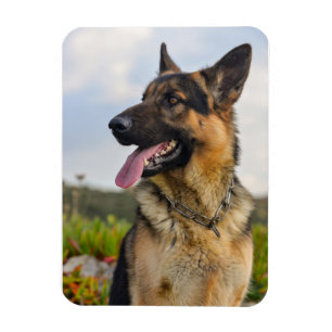 Aangepaste fotokoelkast Magnet Magneet