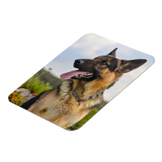 Aangepaste fotokoelkast Magnet Magneet (Linkerzijde)