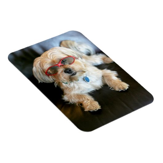 Aangepaste fotokoelkast Magnet Magneet (Rechterzijde)