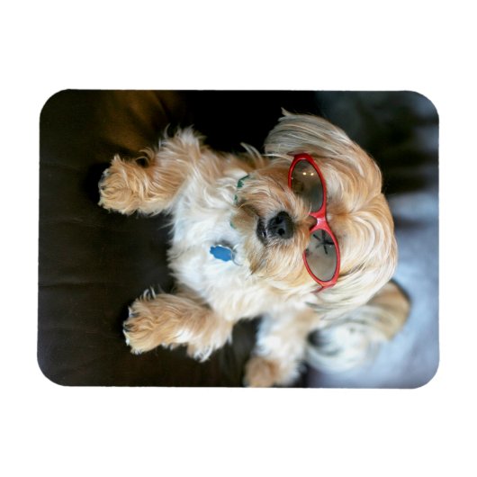 Aangepaste fotokoelkast Magnet Magneet (Horizontaal)