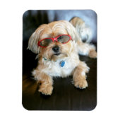 Aangepaste fotokoelkast Magnet Magneet (Verticaal)