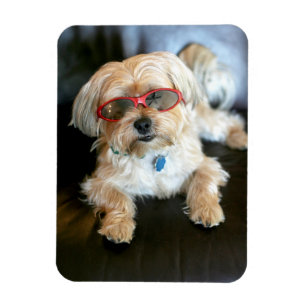 Aangepaste fotokoelkast Magnet Magneet