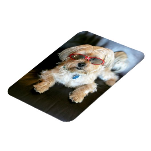 Aangepaste fotokoelkast Magnet Magneet (Linkerzijde)