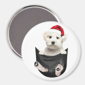 Aangepaste fotokoelkast Magnet | Pet Magnet (Voorkant / Achterkant)