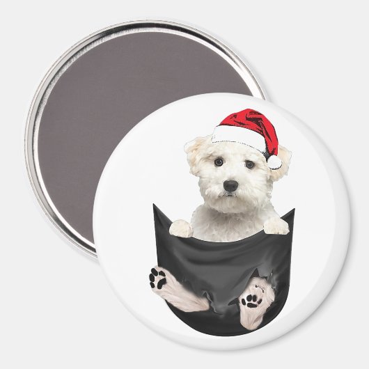 Aangepaste fotokoelkast Magnet | Pet Magnet (Voorkant / Achterkant)