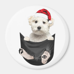 Aangepaste fotokoelkast Magnet Pet Magnet