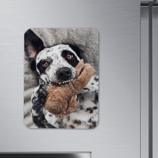 Aangepaste fotokoelkastmagneet magneet
