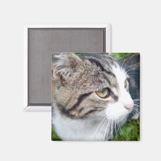 Aangepaste fotomagneet voor koelkast | Uw afbeeldi Magneet (Voorkant / Achterkant)