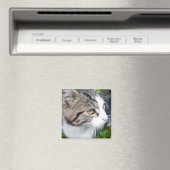 Aangepaste fotomagneet voor koelkast | Uw afbeeldi Magneet (Insitu (Vaatwasser))