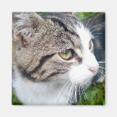 Aangepaste fotomagneet voor koelkast | Uw afbeeldi Magneet (Voorkant)