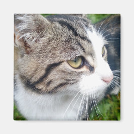 Aangepaste fotomagneet voor koelkast | Uw afbeeldi Magneet