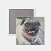 Aangepaste fotomagneten magneet (Voorkant / Achterkant)