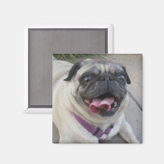 Aangepaste fotomagneten magneet (Voorkant / Achterkant)