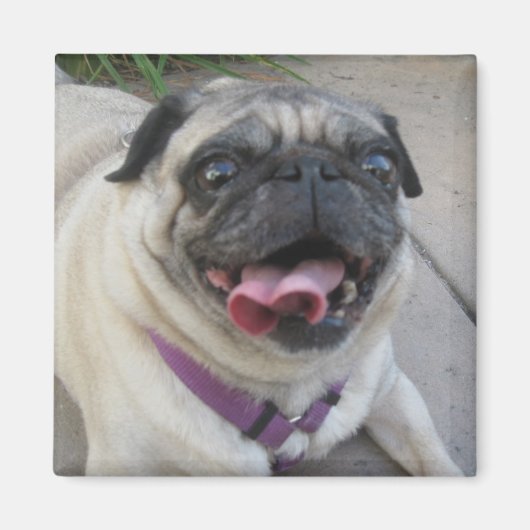 Aangepaste fotomagneten magneet (Voorkant)