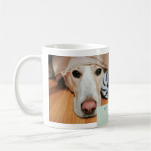 Aangepaste fotomok voor huisdierenliefhebbers. Upl