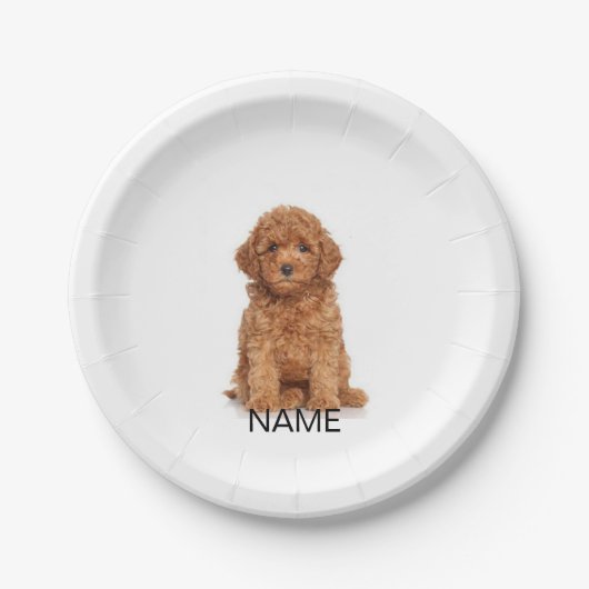 Aangepaste fotonaam tekstverjaardag papieren bordje (Voorkant)