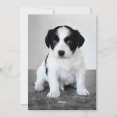 Aangepaste foto's 2025 kalender Gelukkig Nieuwjaar Feestdagenkaart (Achterkant)