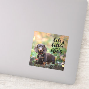 Aangepaste foto's zijn beter met een hond sticker