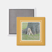 Aangepaste fotosjabloon Goudgeel & Wit Magneet (Voorkant / Achterkant)