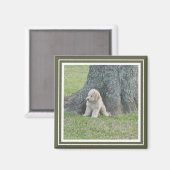 Aangepaste fotosjabloon mosgroen en wit magneet (Voorkant / Achterkant)