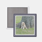 Aangepaste fototemplateframe blauw en wit modern magneet (Voorkant / Achterkant)