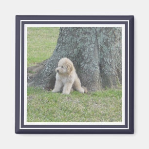 Aangepaste fototemplateframe blauw en wit modern magneet