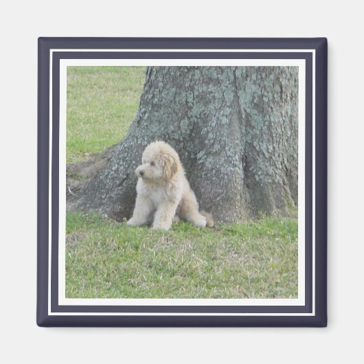Aangepaste fototemplateframe blauw en wit modern magneet (Voorkant)