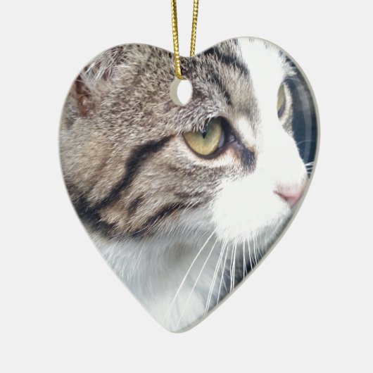 Aangepaste fotoversiering voor gezelschapsdieren | keramisch ornament (Links)