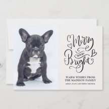 Aangepaste Franse bulldog-puppy-Merry en heldere f