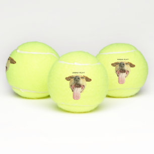 Aangepaste Funny Wanna Play Dog Tennisballen