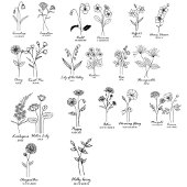 Aangepaste Geboorte Bloem Met Naam Voorstel, Verja Acryl Drinkbeker